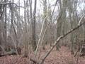 #2: East