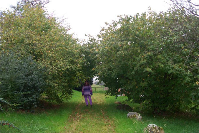 Renate walking towards the confluence point / Renate auf dem Weg zum Confluence Punkt