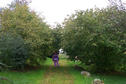 #6: Renate walking towards the confluence point / Renate auf dem Weg zum Confluence Punkt