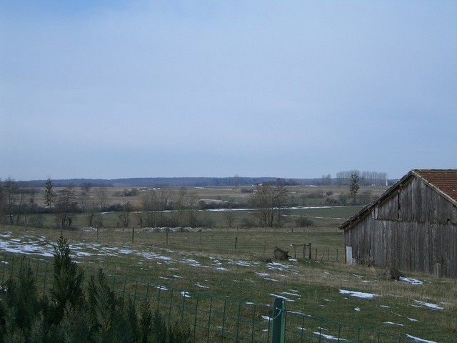 View to W