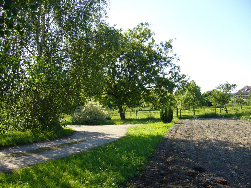 View West from the closest approach on the street towards the point (50 metres to go)