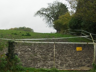 #1: View to west. CP is in this direction behind the forest