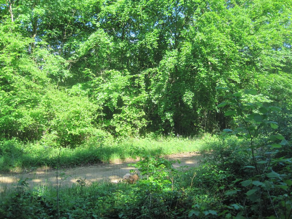 Osten; view east