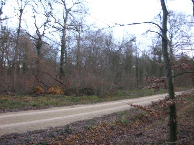 View in south-eastern direction / Blick nach Südosten