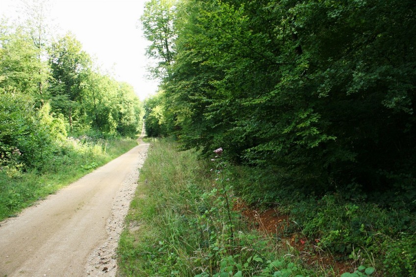 View to the south (in direction of Pagny-sur-Moselle)