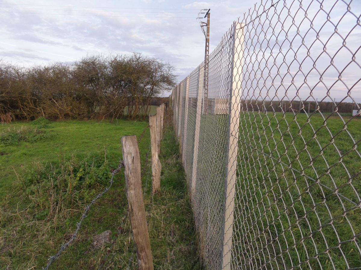 The fence