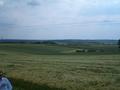 #4: Looking South