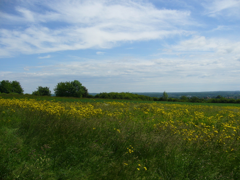 View East about 10 meters off the point