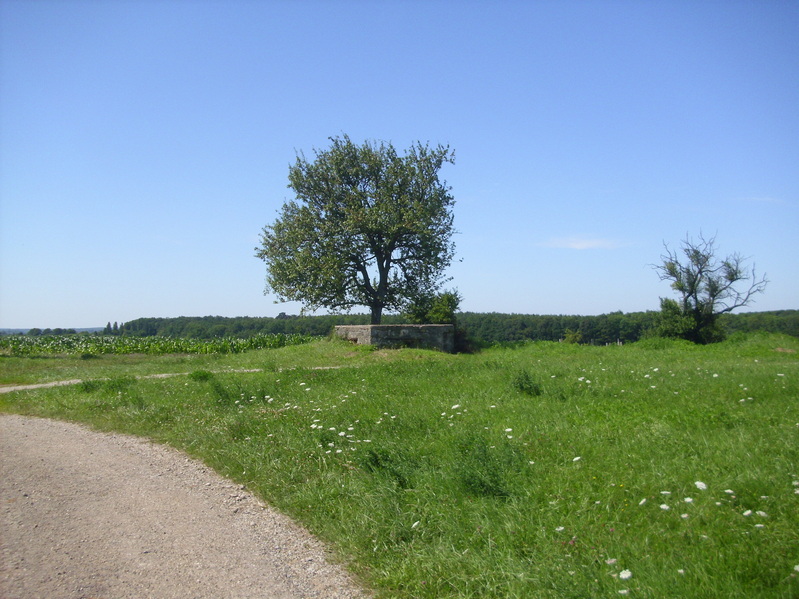 The concrete bunker