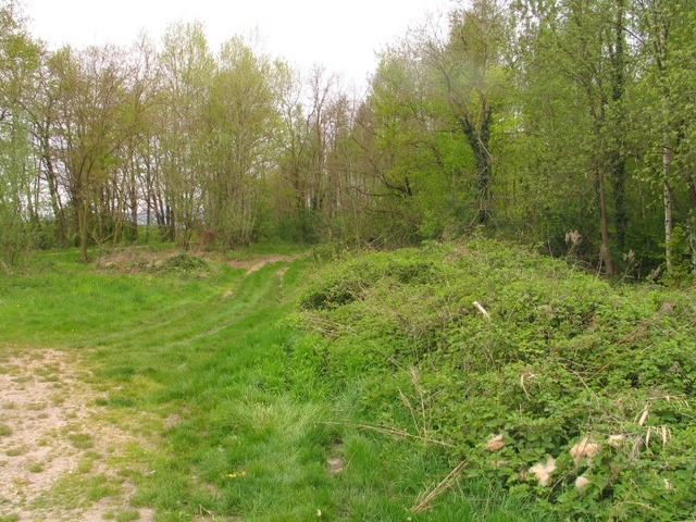 General view of the confluence from 30 meters, the confluence is in the woods