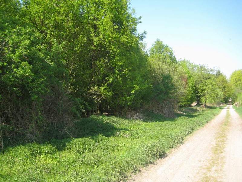 View north outside the bushes, 10 m away from confluence