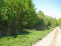 #3: View north outside the bushes, 10 m away from confluence