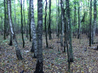 #1: View to north