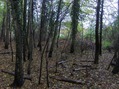 #2: View to east