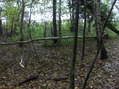 #3: View to south
