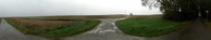 #5: Panoramic view to south out of the forest