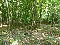 #3: North view