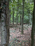 #2: north view