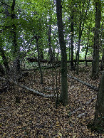 #3: south view