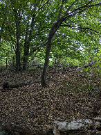 #4: east view
