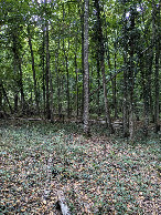 #5: west view