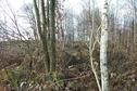 #3: View from the confluence point / Ausblick von Confluence Punkt