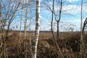 #4: View from the confluence point / Ausblick von Confluence Punkt