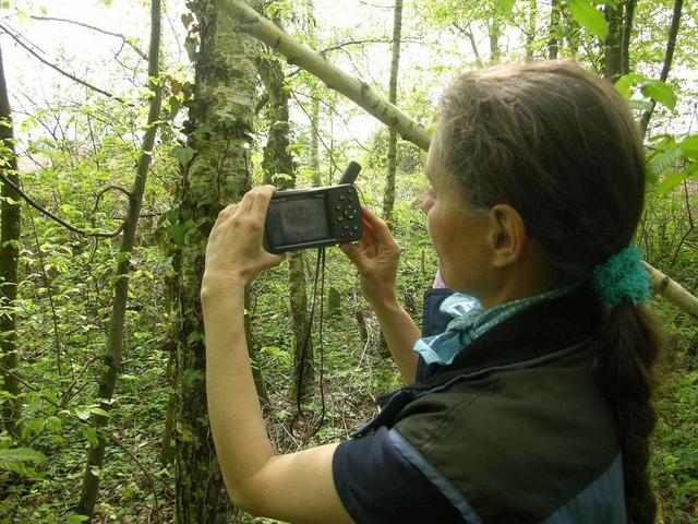 Barbara locating the point / Barbara sucht den Punkt