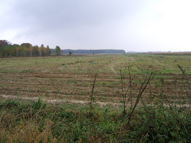View to the East