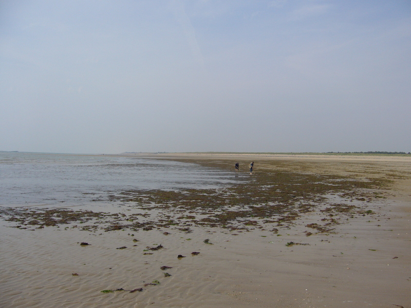 View north along the coast.