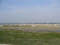 #11: View from Pointe d'Agon to Regnéville (east). It's obviously low tide.