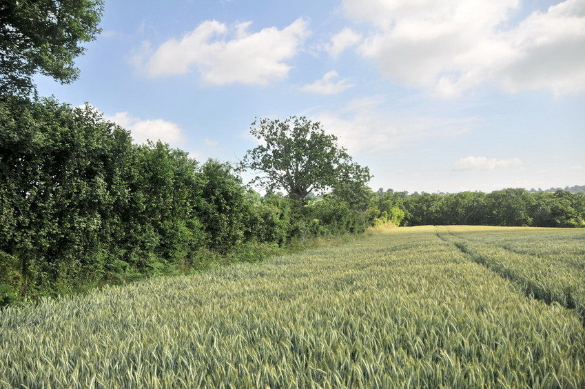 View north / Blick nach Norden