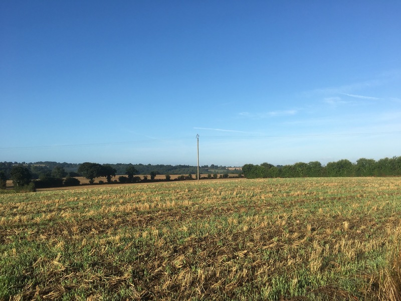 General view from 300 m