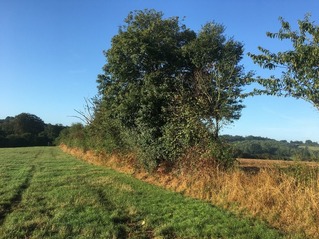 #1: The Confluence from 15 m distance