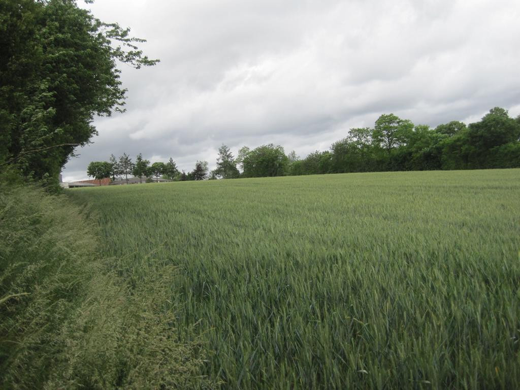 Norden; view north