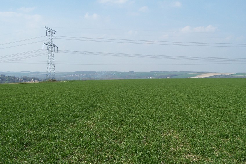 General view of the confluence (towards N)