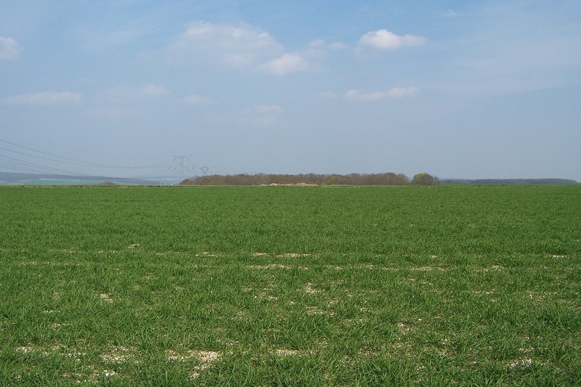 View towards E from the confluence