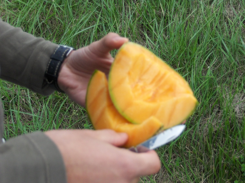 A SHORT CELEBRATION  WITH A CANTALOUPE