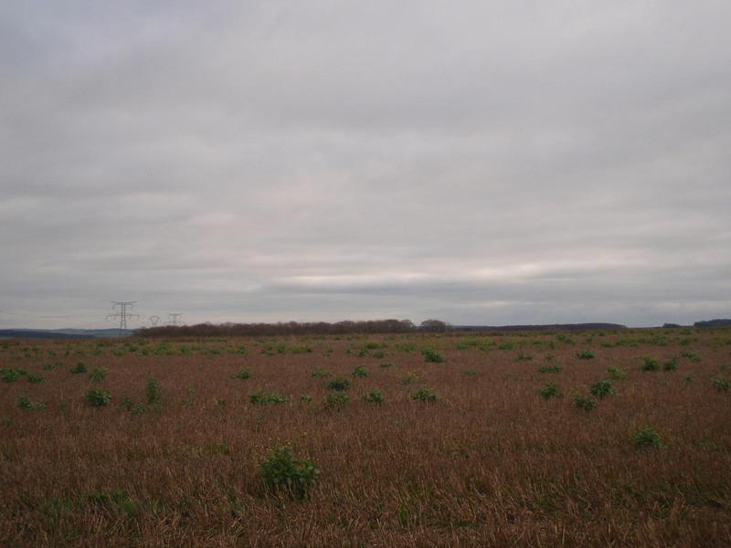 East