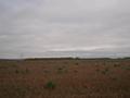 #2: East