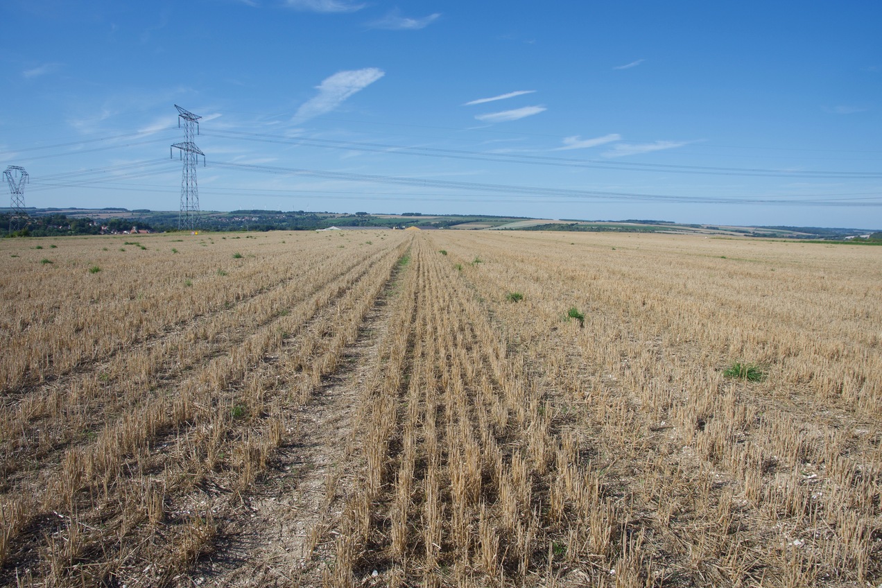 The confluence point lies in a (currently fallow) field.  (This is also a view to the North, towards nearby electricity transmission lines.)