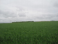 #2: Osten; view east