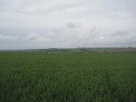 #4: Westen; view west
