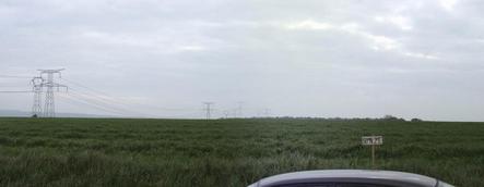#1: Confluence ~50m inside the wheat field - view to SE