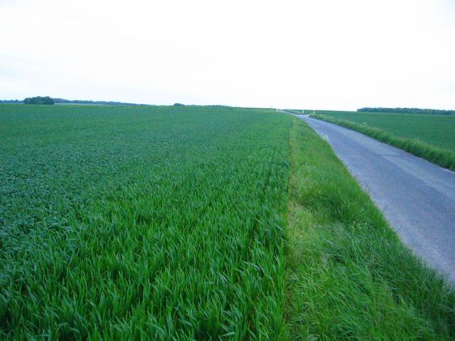 View to the East