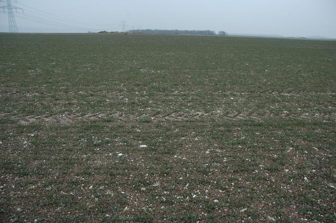 Conflunce in a newly planted wheat field - looking toward East