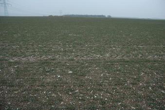 #1: Conflunce in a newly planted wheat field - looking toward East