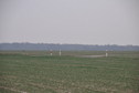 #4: View south / Blick nach Süden