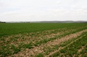 #4: View to the West