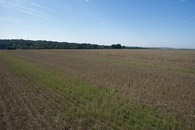 #3: View South